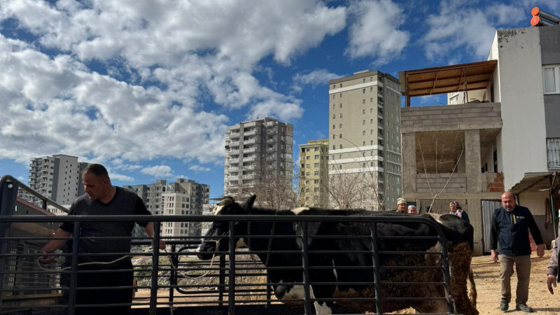 Sarıçam da Planlı Kentleşme,